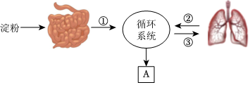 菁優(yōu)網(wǎng)