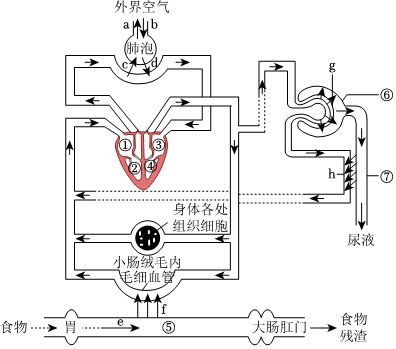 菁優(yōu)網(wǎng)