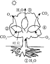 菁優(yōu)網(wǎng)