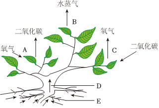 菁優(yōu)網(wǎng)