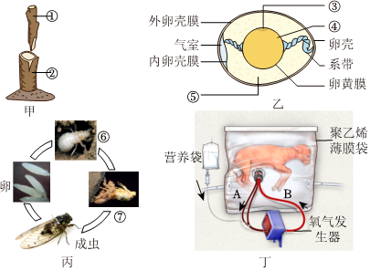 菁優(yōu)網(wǎng)