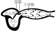 菁優(yōu)網(wǎng)