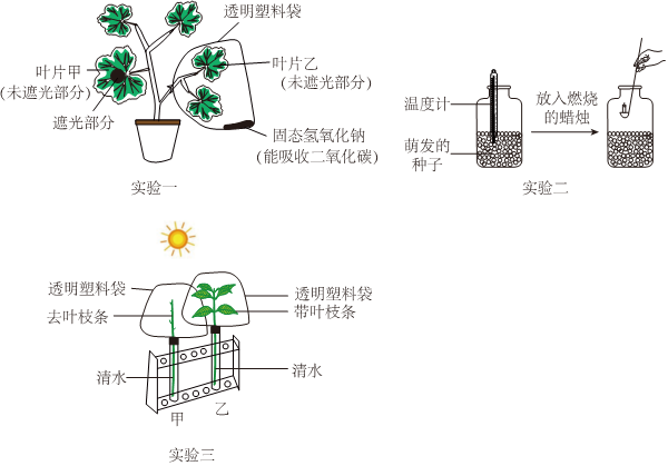 菁優(yōu)網(wǎng)