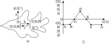 菁優(yōu)網(wǎng)