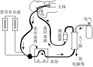 菁優(yōu)網(wǎng)