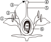 菁優(yōu)網(wǎng)