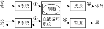 菁優(yōu)網(wǎng)