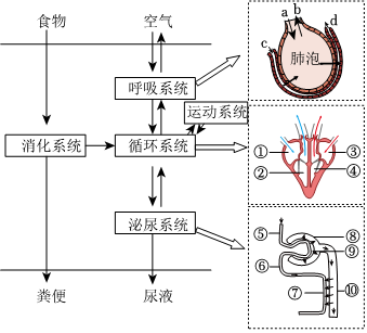 菁優(yōu)網(wǎng)