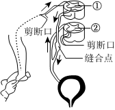 菁優(yōu)網(wǎng)