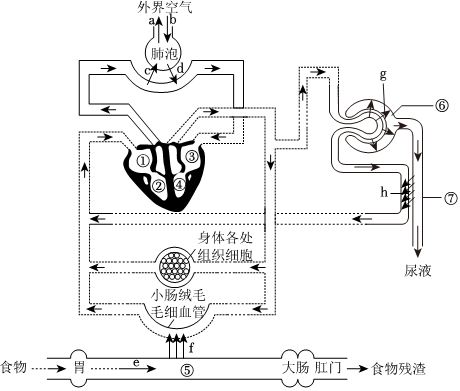 菁優(yōu)網(wǎng)