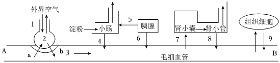 菁優(yōu)網