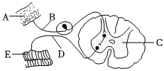 菁優(yōu)網(wǎng)