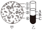 菁優(yōu)網(wǎng)