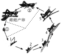 菁優(yōu)網