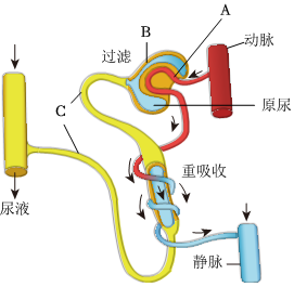 菁優(yōu)網(wǎng)