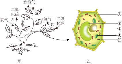 菁優(yōu)網(wǎng)