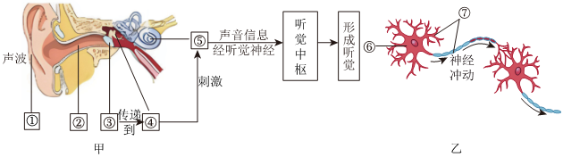 菁優(yōu)網