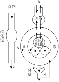 菁優(yōu)網