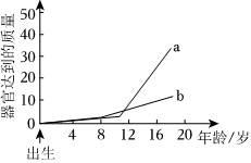 菁優(yōu)網