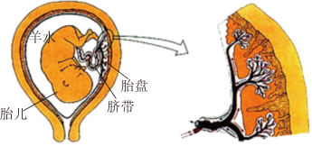 菁優(yōu)網