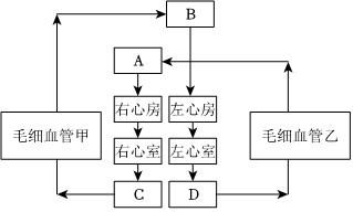 菁優(yōu)網(wǎng)