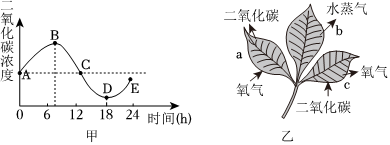 菁優(yōu)網(wǎng)