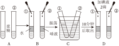 菁優(yōu)網(wǎng)