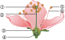 菁優(yōu)網