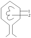 菁優(yōu)網