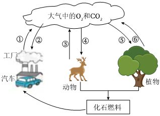 菁優(yōu)網