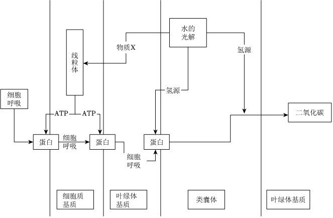 菁優(yōu)網(wǎng)