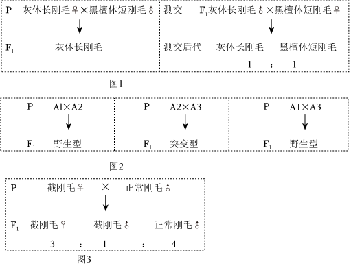 菁優(yōu)網