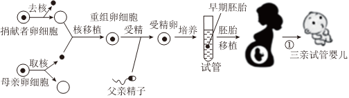 菁優(yōu)網