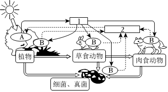 菁優(yōu)網(wǎng)