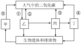 菁優(yōu)網(wǎng)