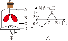 菁優(yōu)網(wǎng)