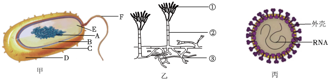 菁優(yōu)網