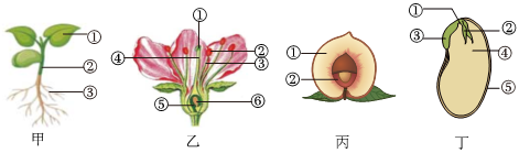 菁優(yōu)網