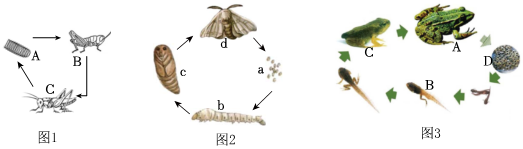 菁優(yōu)網