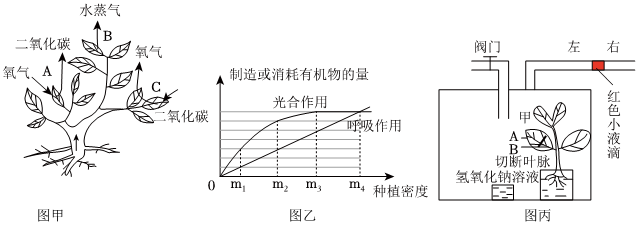 菁優(yōu)網(wǎng)