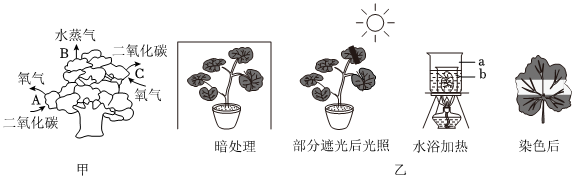 菁優(yōu)網(wǎng)