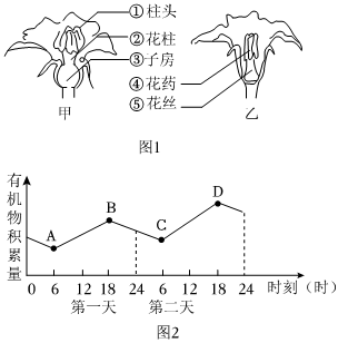 菁優(yōu)網(wǎng)