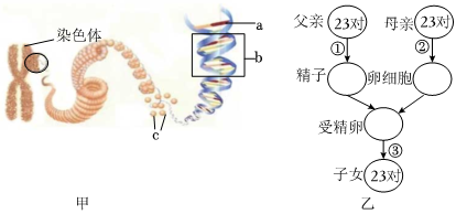 菁優(yōu)網