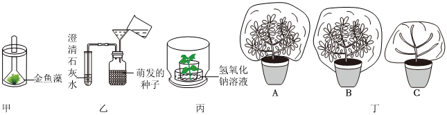 菁優(yōu)網(wǎng)