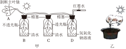 菁優(yōu)網(wǎng)