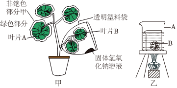 菁優(yōu)網(wǎng)