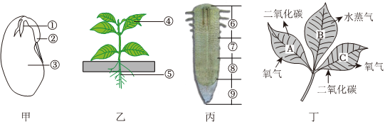 菁優(yōu)網(wǎng)