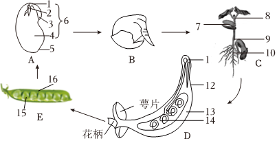 菁優(yōu)網(wǎng)