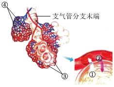 菁優(yōu)網