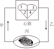 菁優(yōu)網(wǎng)